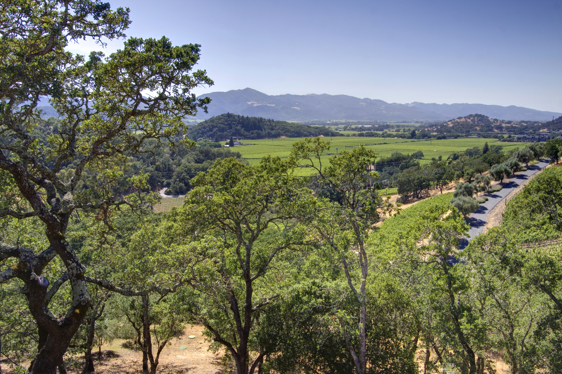 50 _MG_7287adjust- 7040SilveradoTrl