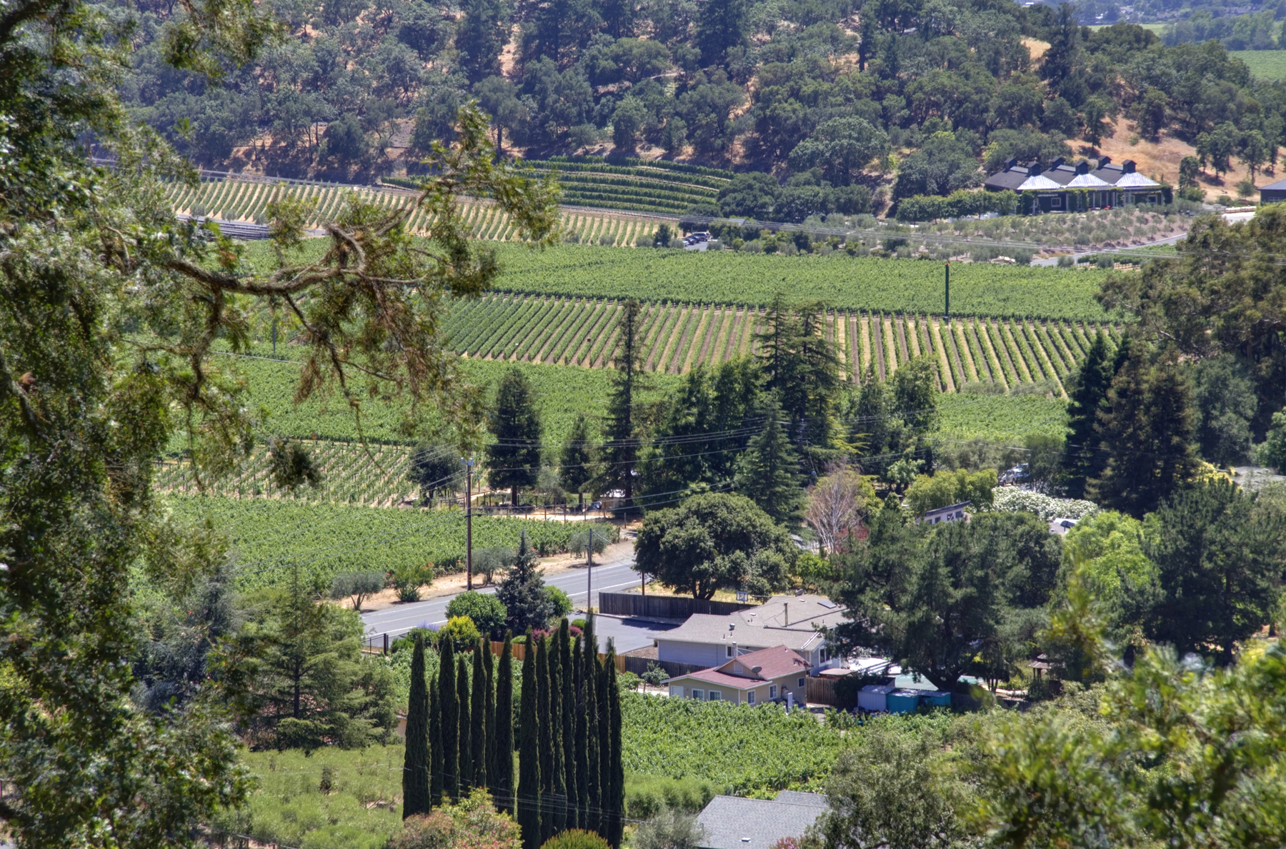 51 _MG_7161adjust- 7040SilveradoTrl