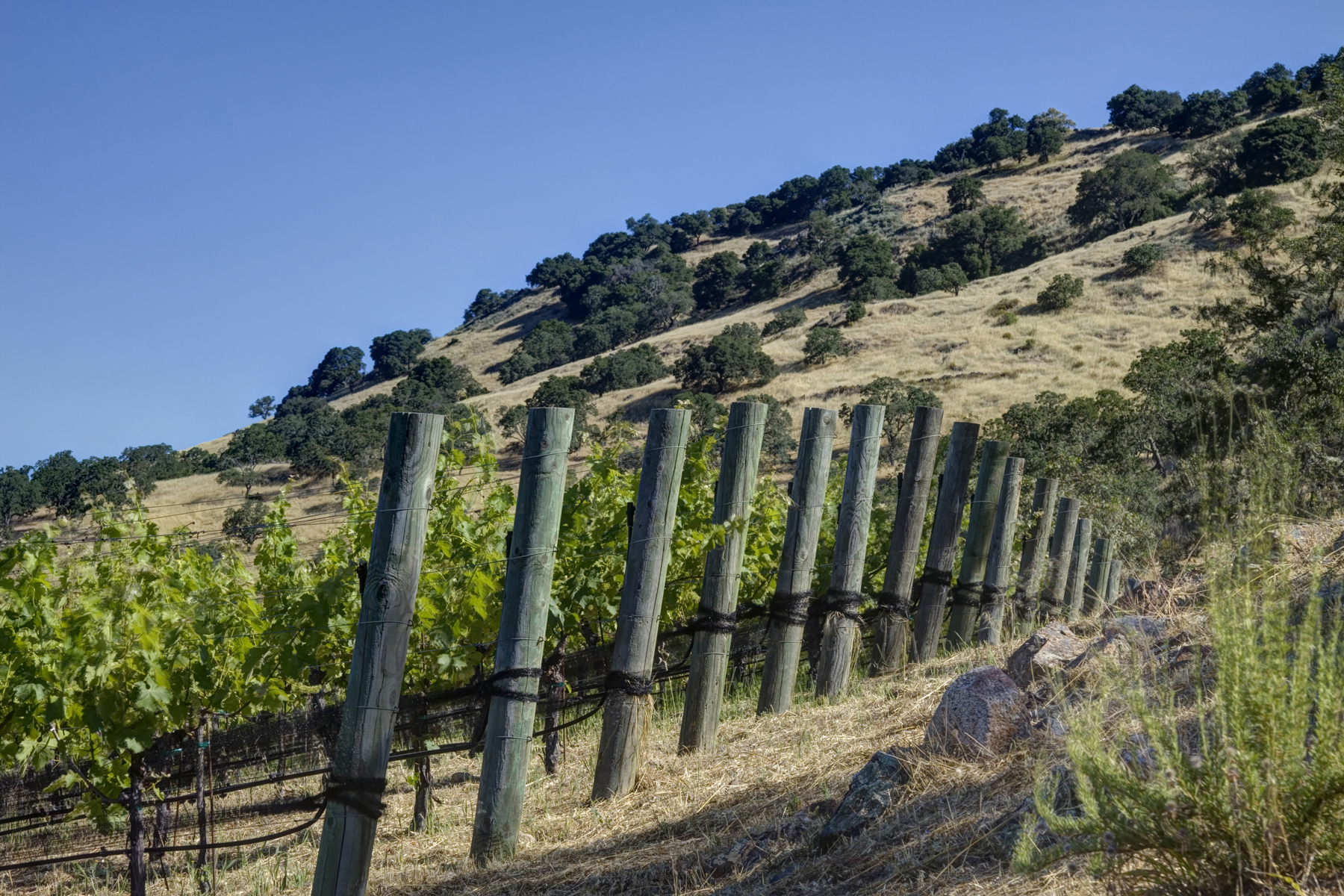 53a_MG_6755adjust- 7040SilveradoTrl