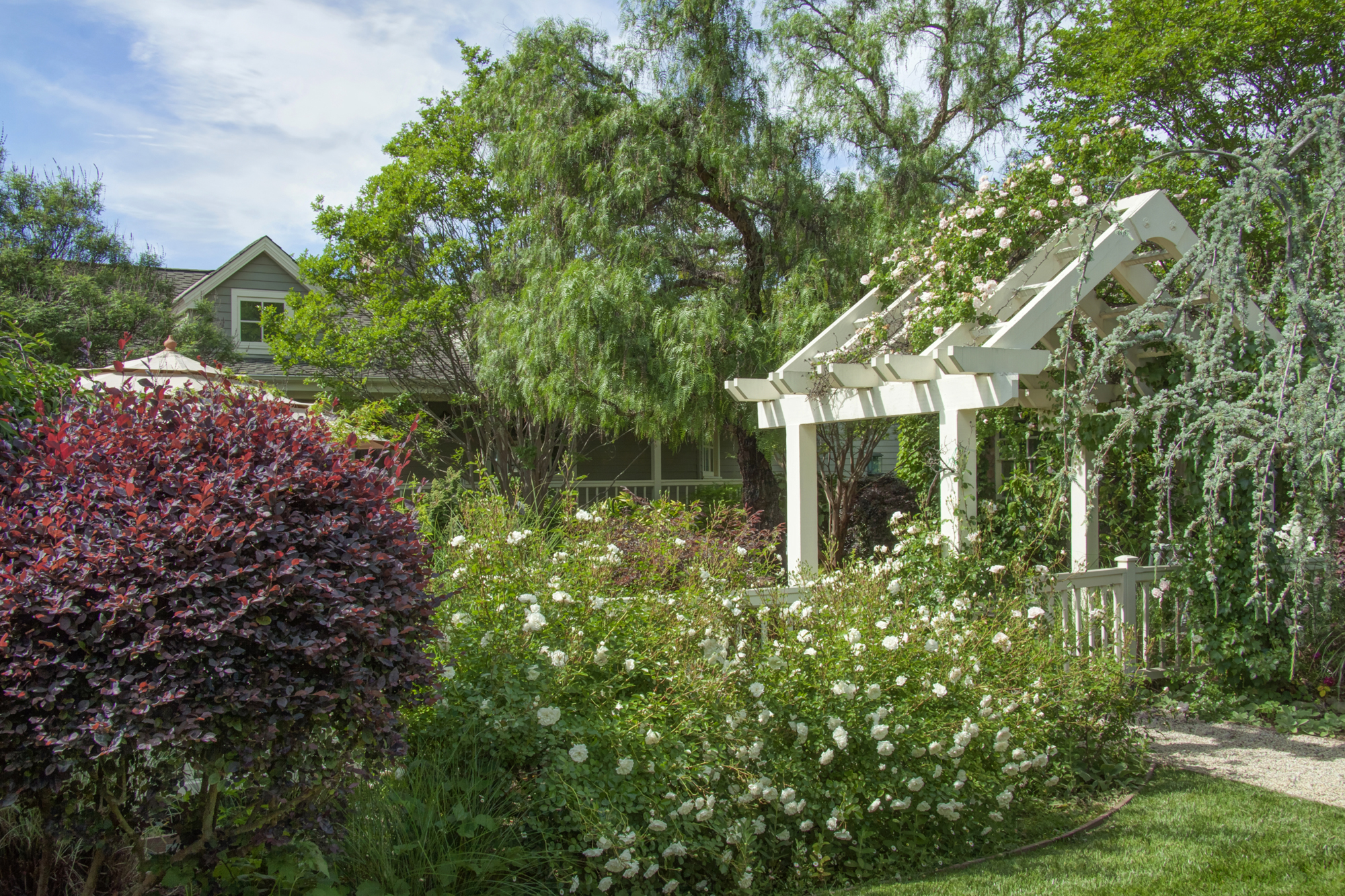 60 _MG_1566adjust smaller - 1500ZinfandelLane