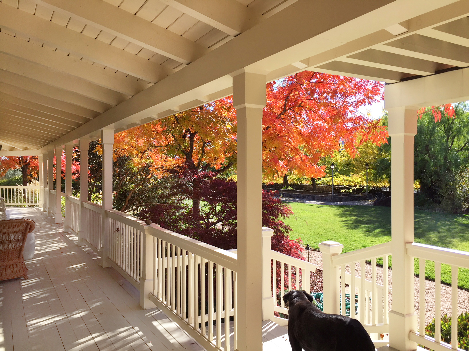 62 IMG_5838EDIT - 1500ZinfandelLane