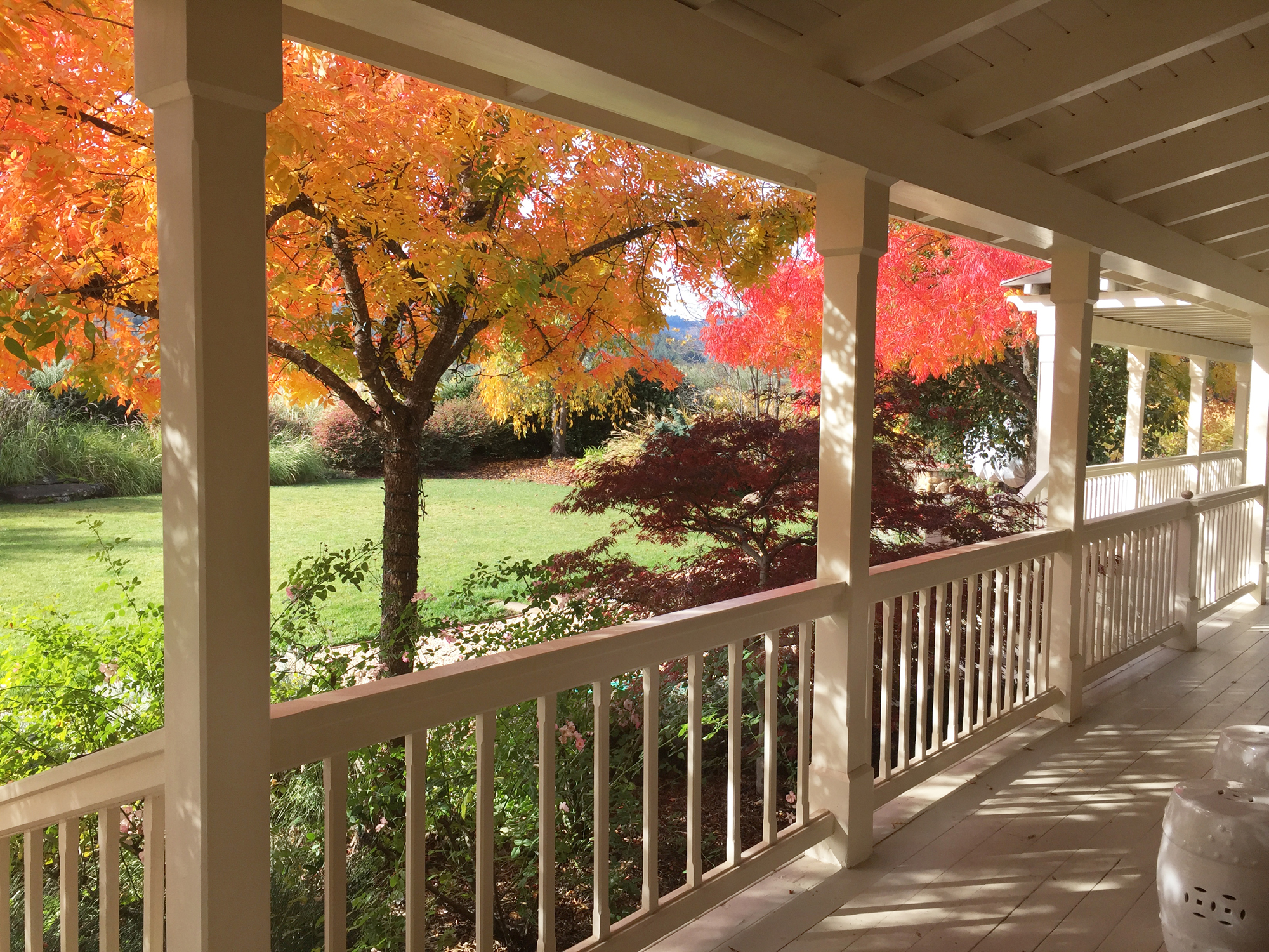 63 IMG_5978EDIT smaller - 1500ZinfandelLane