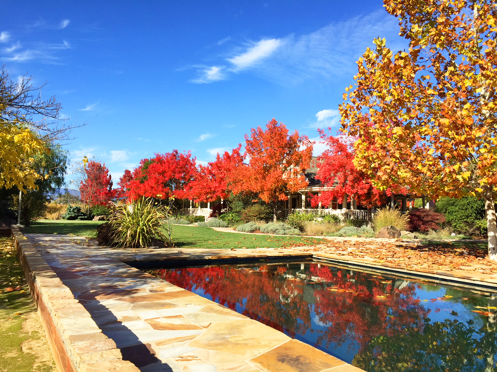 65 IMG_5857EDIT - 1500ZinfandelLane