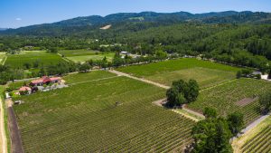 01 - DJI_0119 - SummersWinery