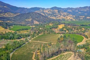 01 - DJI_0286 Cropped EDITED- BlossomCreekVineyard
