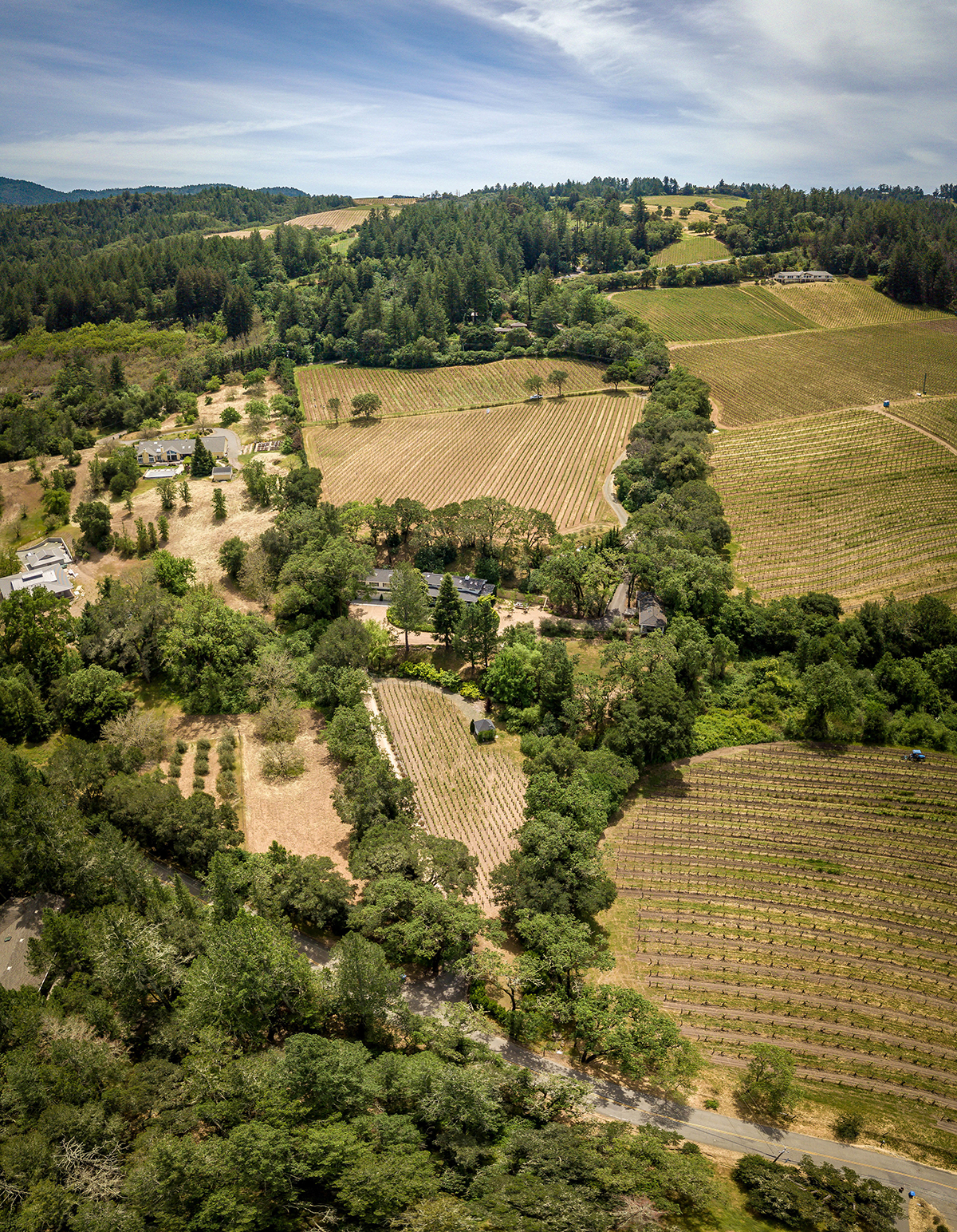 02 - 315_Franz_Valley_Rd_aerial_panorama_03 - 315FranzValleySchoolRd