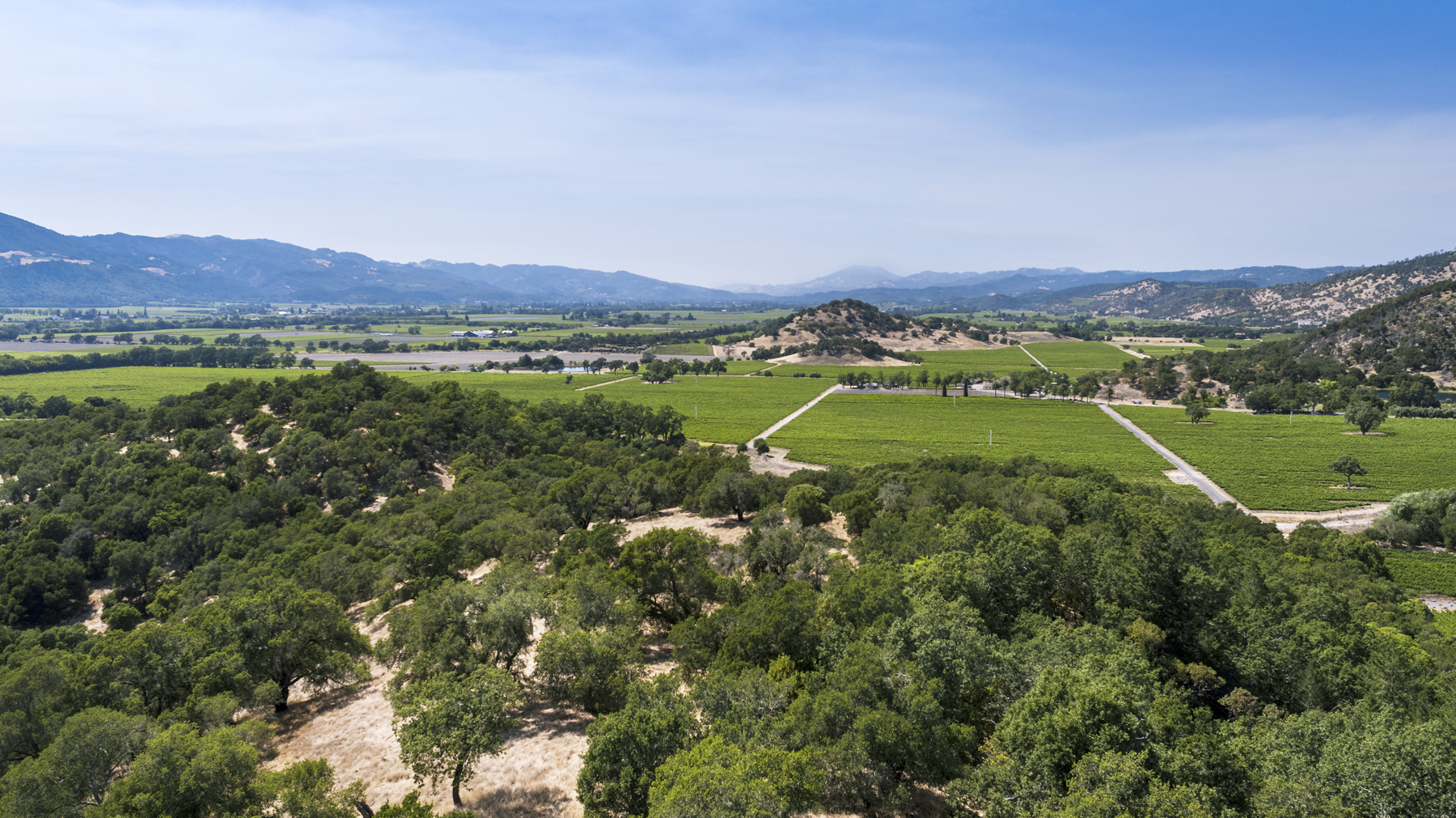 02 - DJI_0041EDIT- StateLaneWolff