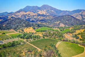 02 - DJI_0292_Pano Croped EDITED- BlossomCreekVineyard