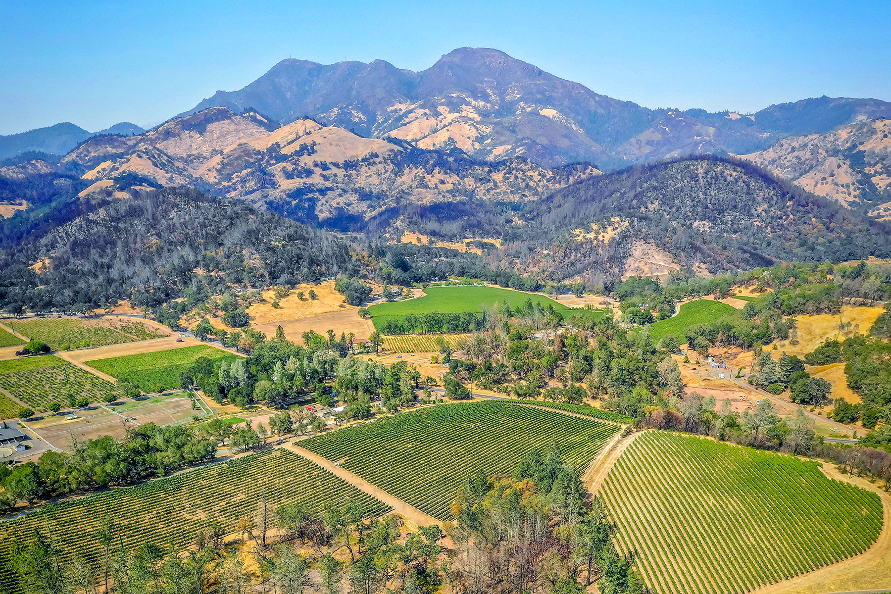 02 - DJI_0292_Pano Croped EDITED- BlossomCreekVineyard