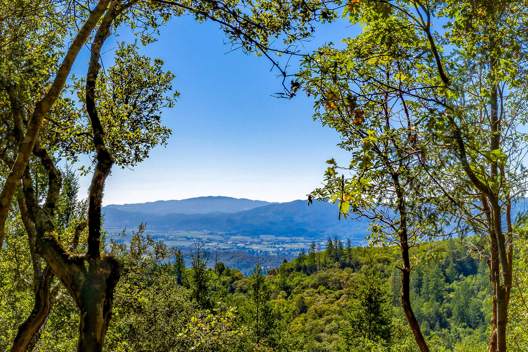 02 DJI_0328_Pano Cropped - 1179LasPosadas