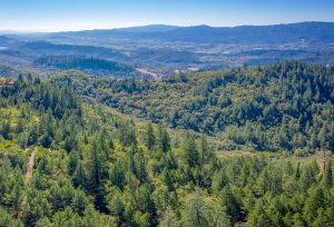 03 DJI_0032_Pano Cropped - 1179LasPosadas