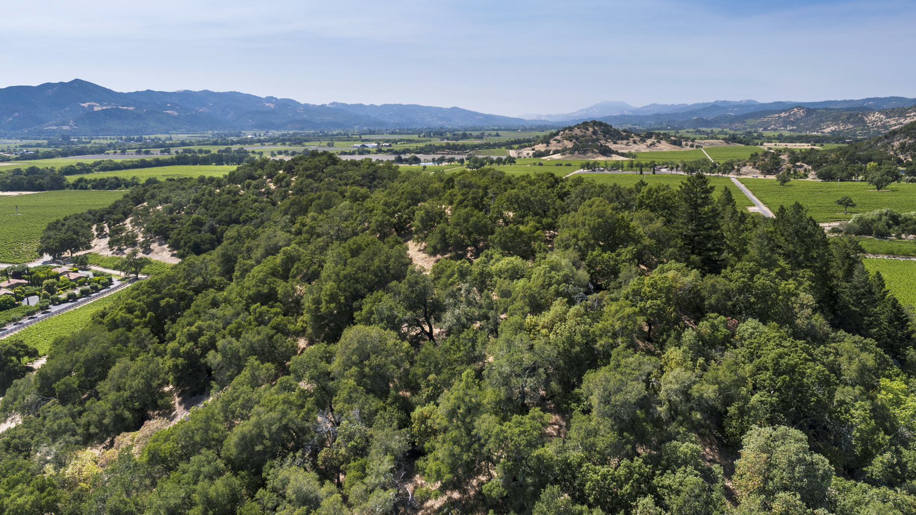 03 - DJI_0044EDIT- StateLaneWolff