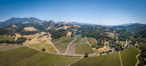 03 - DJI_0113_Pano - KnightsValleyRanch