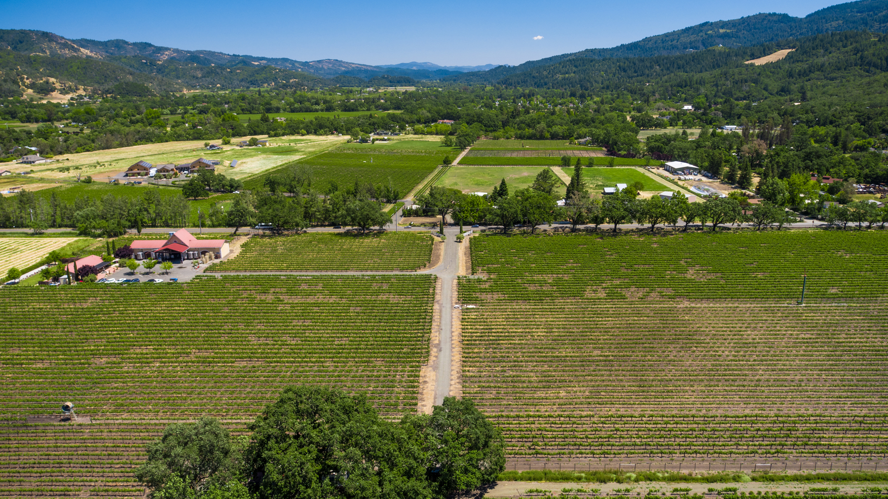 03 - DJI_0115 - SummersWinery