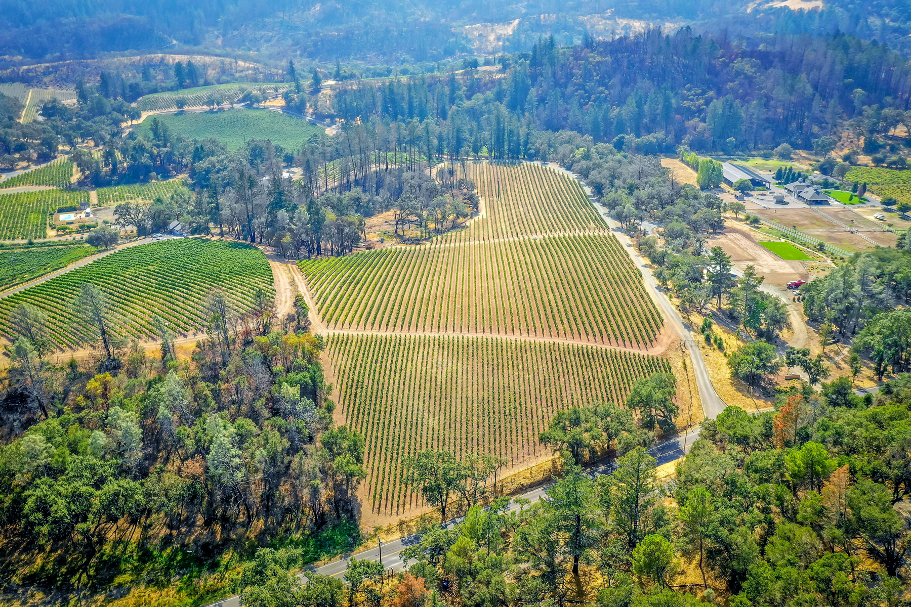 03 - DJI_0270 EDITED- BlossomCreekVineyard