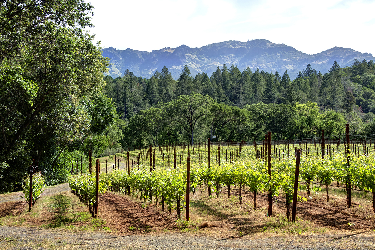 03 - _MG_9620adjust - 315FranzValleySchoolRd