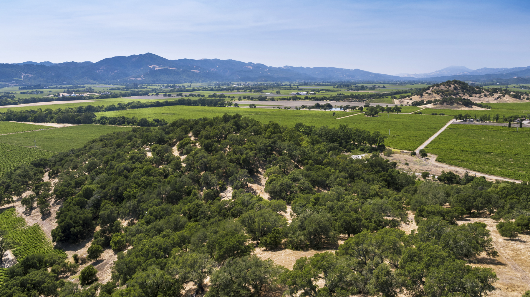 04 - DJI_0029EDIT- StateLaneWolff