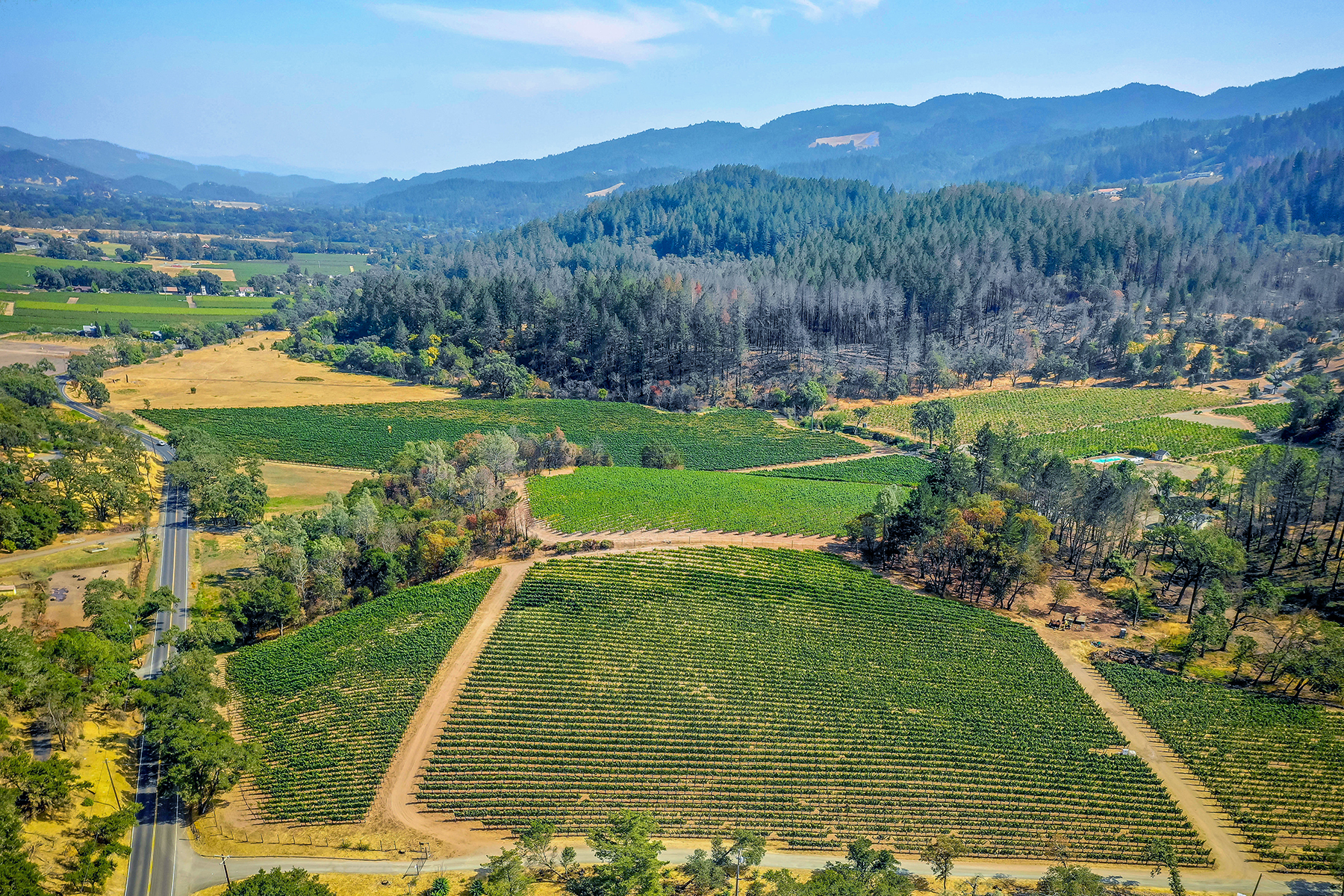 04 - DJI_0276_Pano Cropped EDITED- BlossomCreekVineyard