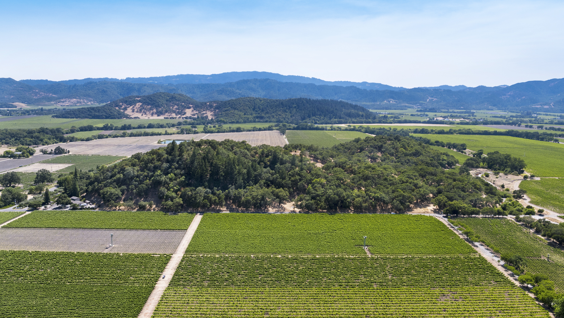 05 - DJI_0020EDIT- StateLaneWolff