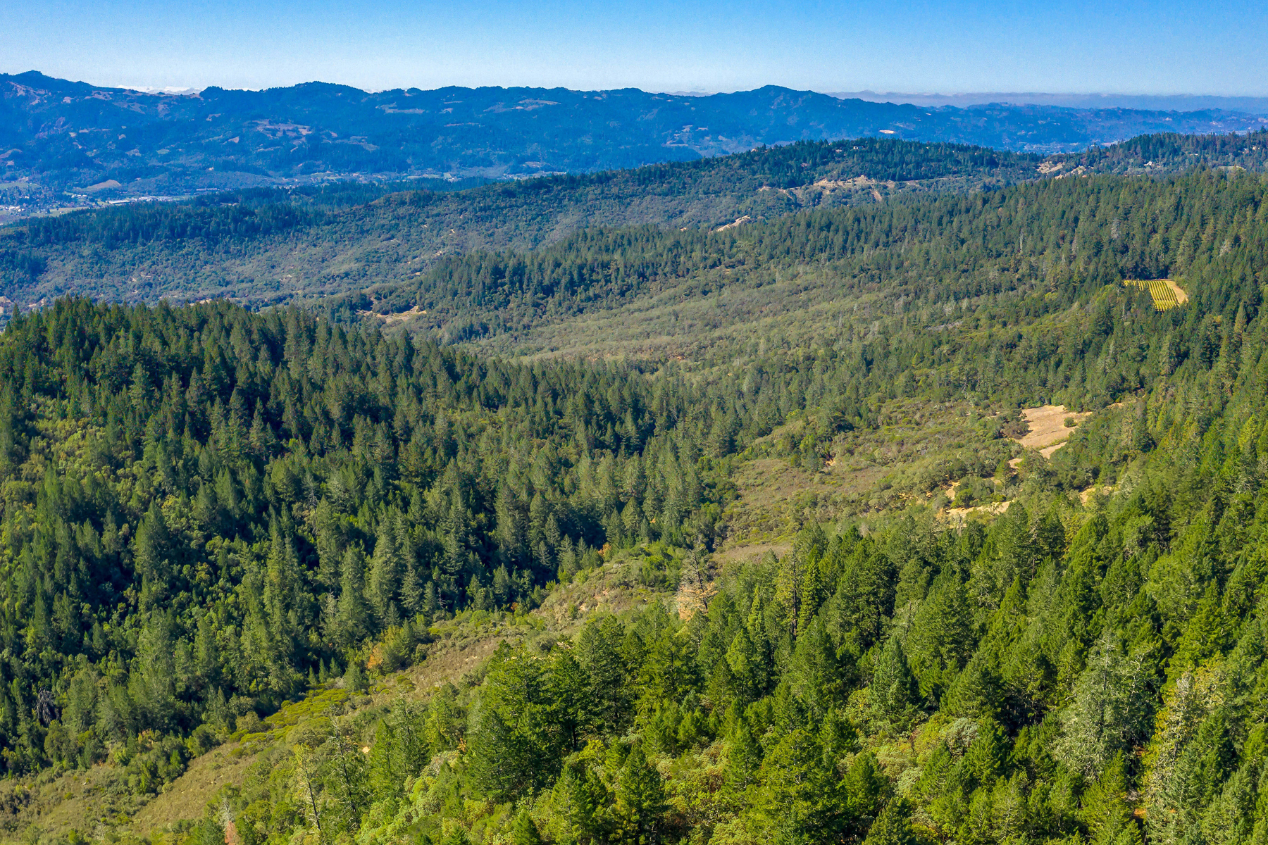 05 DJI_0294_Pano Cropped - 1179LasPosadas