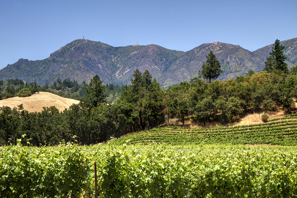 05d - _MG_9939adjust - KnightsValleyRanch