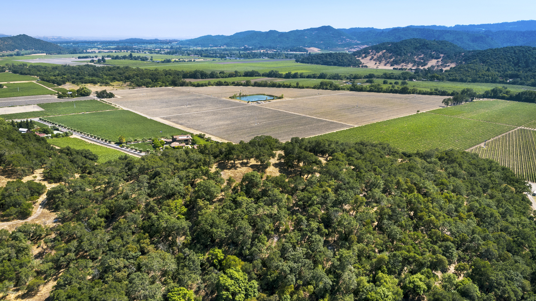 06 - DJI_0014EDIT- StateLaneWolff