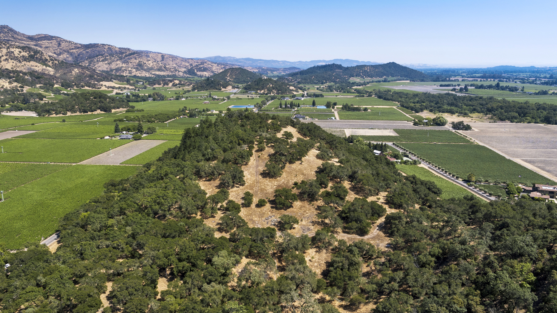 07 - DJI_0016EDIT- StateLaneWolff