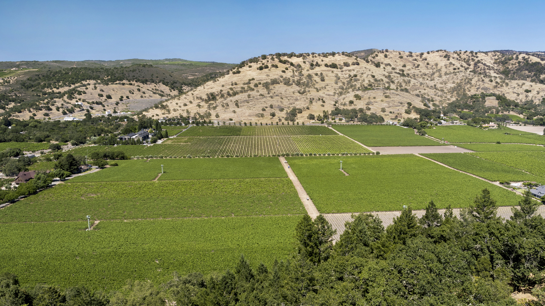 08 - DJI_0038EDIT- StateLaneWolff