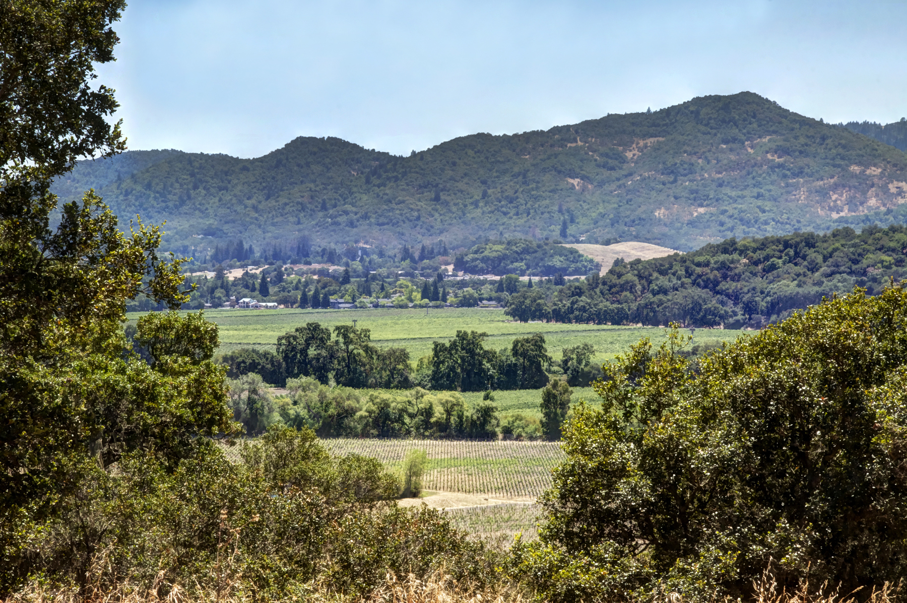 09 - _MG_0393adjustEDIT- StateLaneWolff