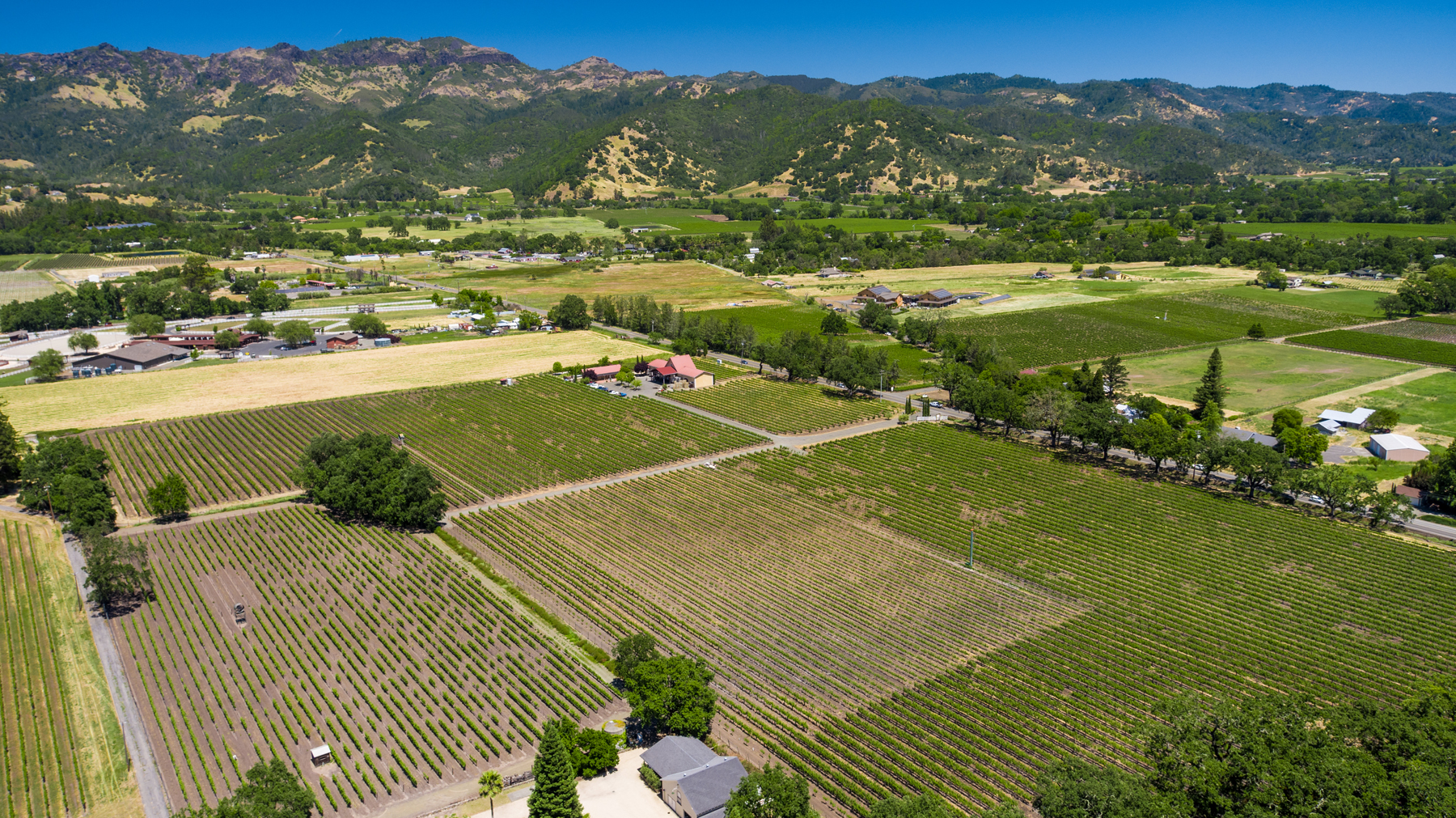 10 - DJI_0101 - SummersWinery