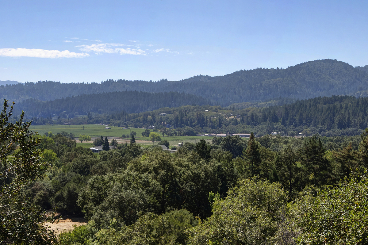 10 - _MG_1739adjust EDIT - 3800SilveradoTrail