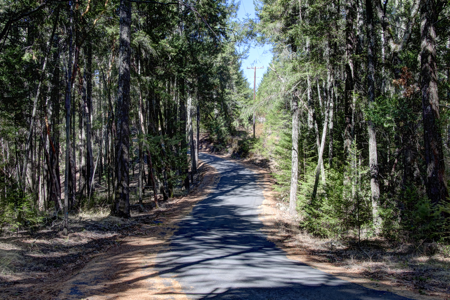 10 _MG_2048adjust - 1179LasPosadas