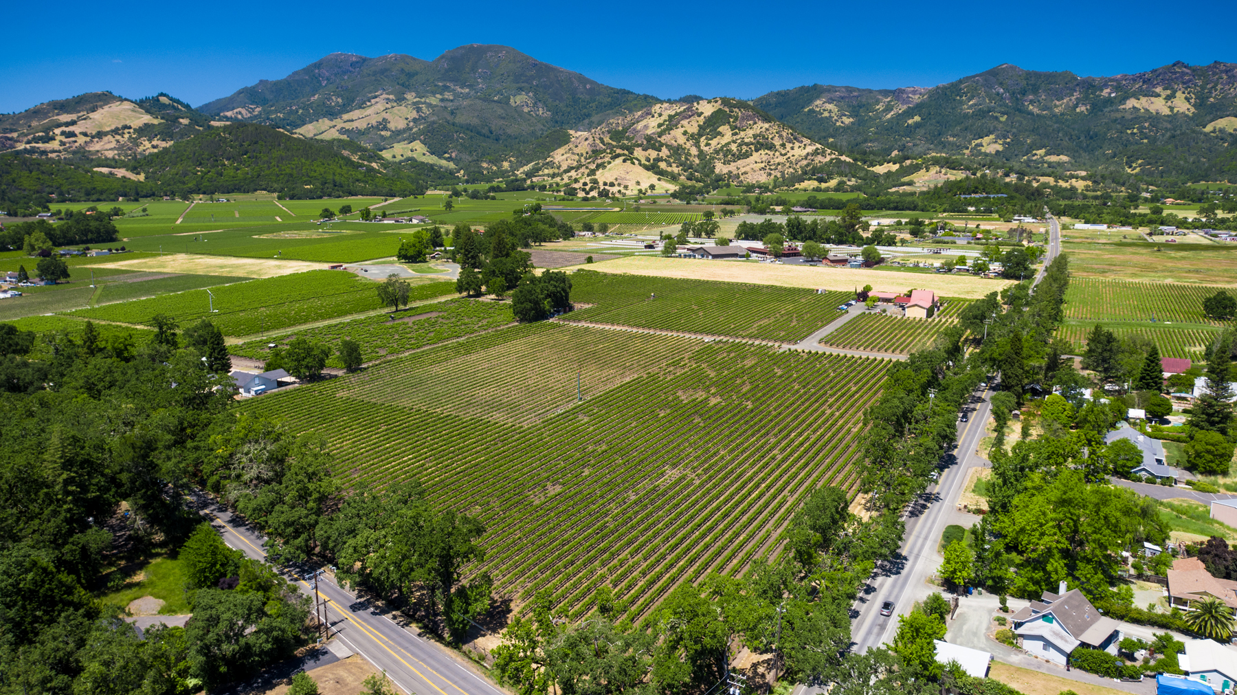 11 - DJI_0100 - SummersWinery