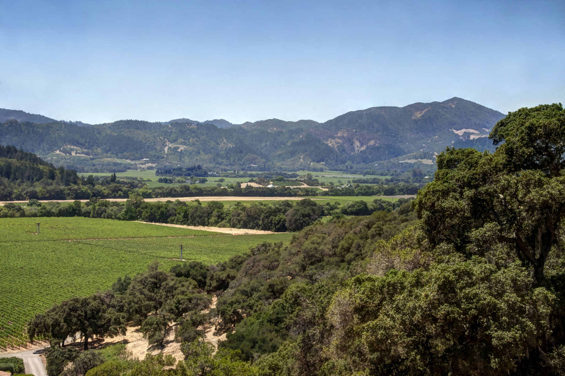 12 - _MG_0388adjust- StateLaneWolff