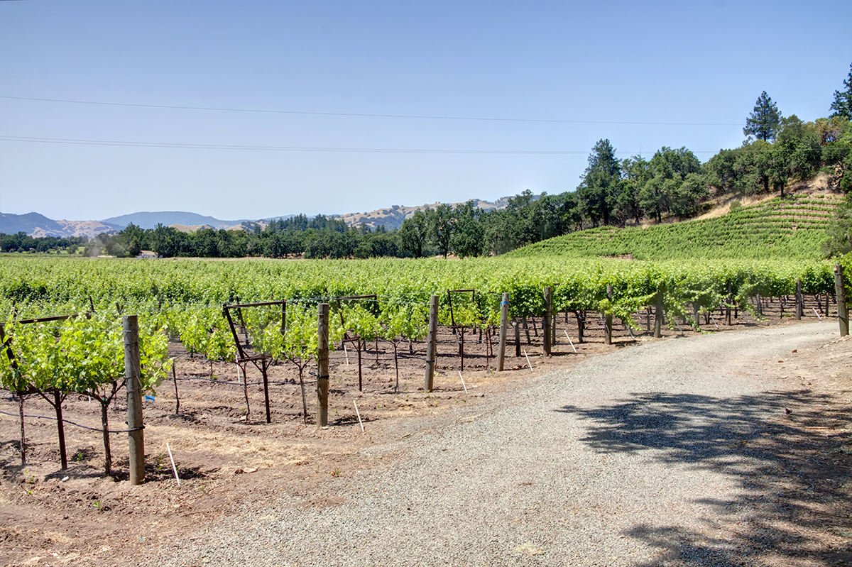 13 -_MG_9959adjust - KnightsValleyRanch