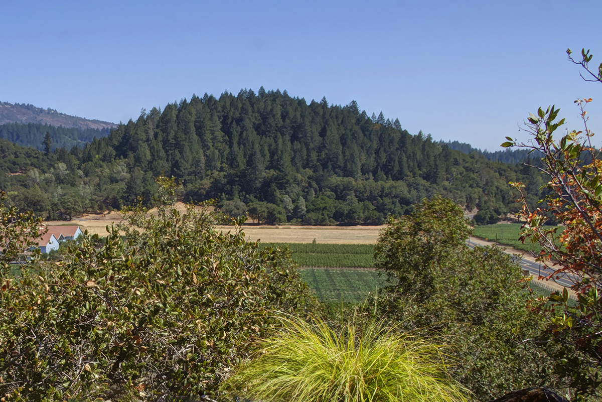 14 - _MG_1622adjust EDIT3 - 3800SilveradoTrail