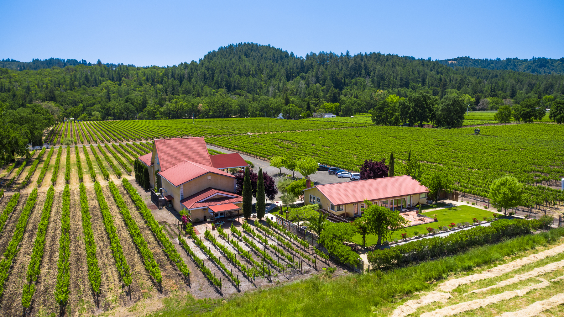 16 - DJI_0082 - SummersWinery