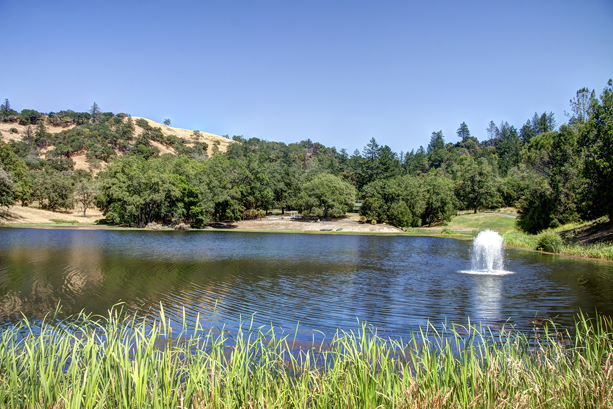 20 -_MG_0005adjust - KnightsValleyRanch