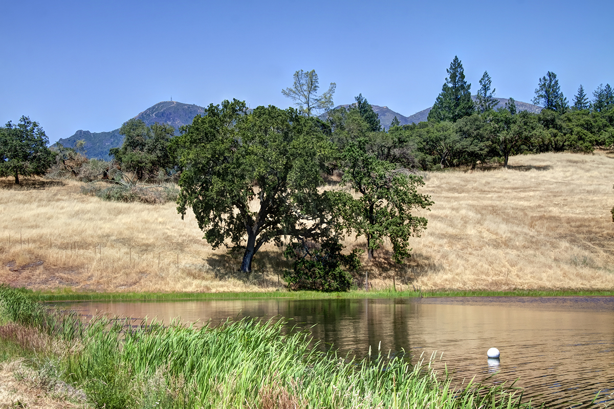 22 - _MG_0015adjust - KnightsValleyRanch