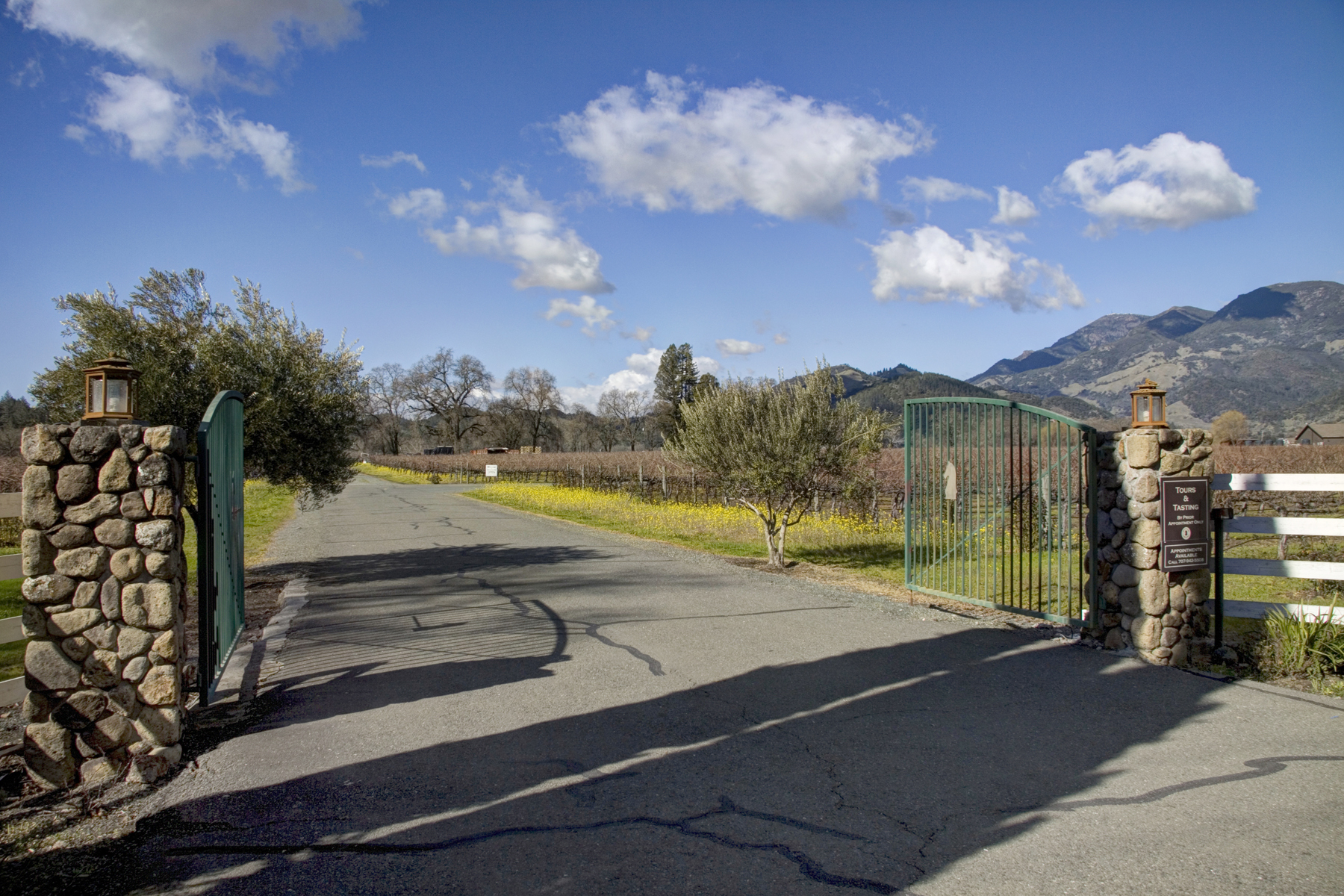 22 - _MG_0282adjust - SummersWinery