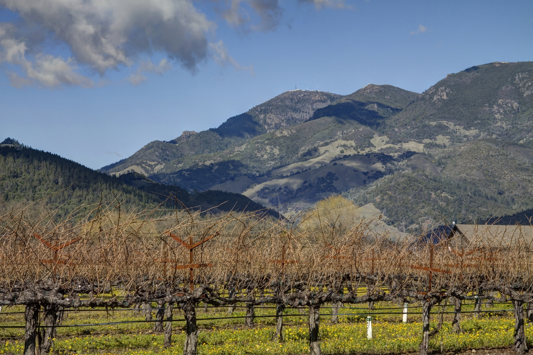 23 - _MG_0273adjust - SummersWinery