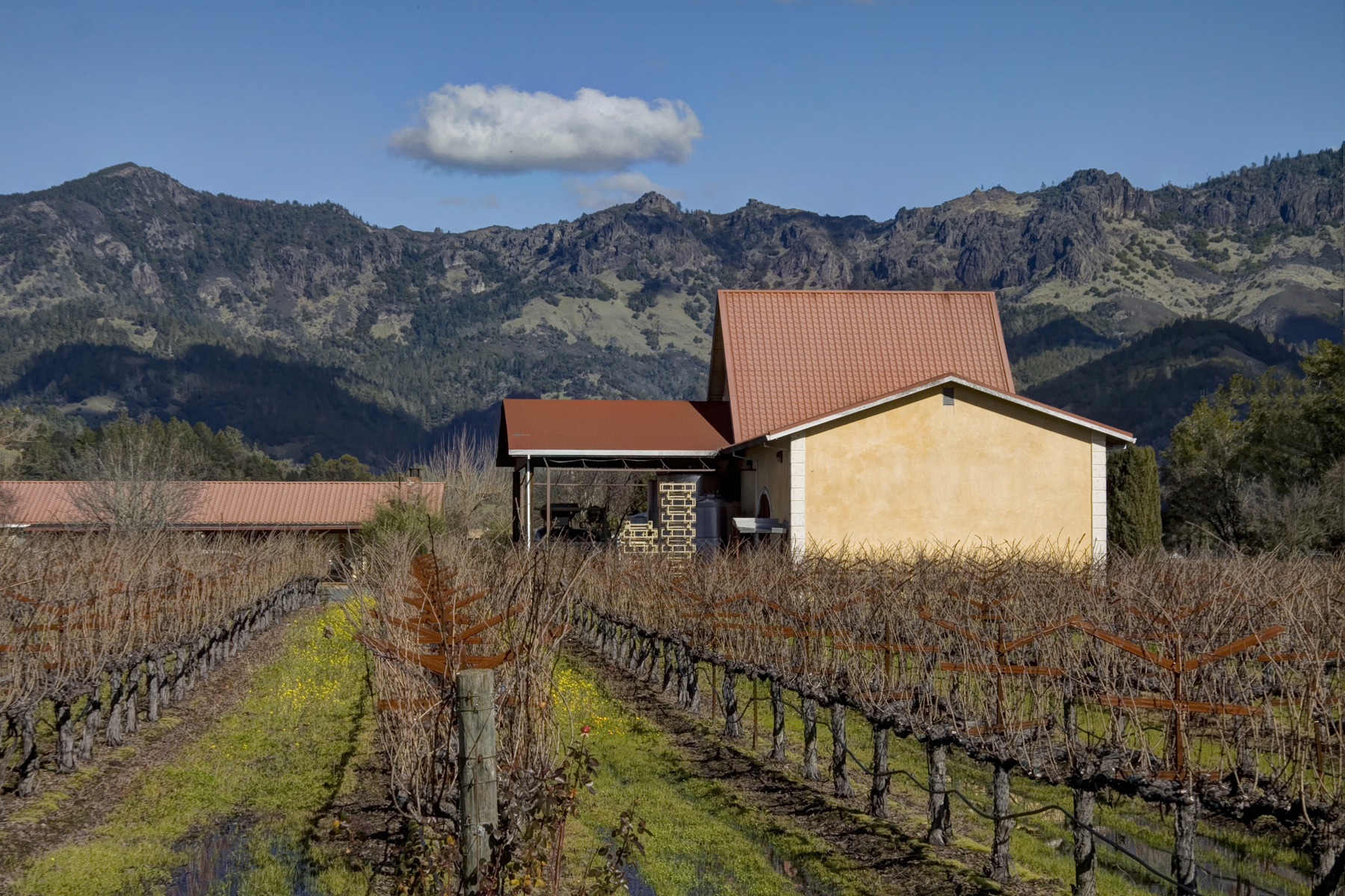 24 - _MG_0279adjust - SummersWinery