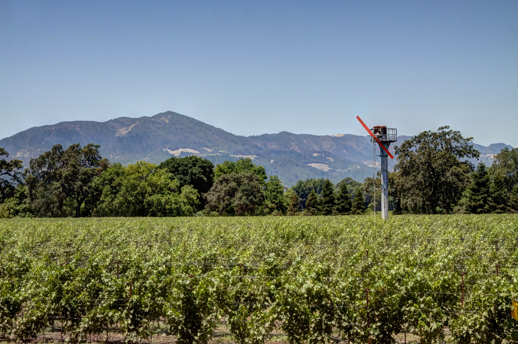 24 - _MG_0343adjust- StateLaneWolff