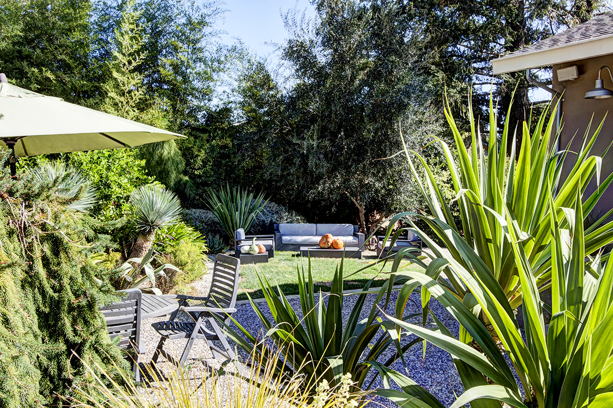 25 _MG_2099adjust - 1512StocktonStreet