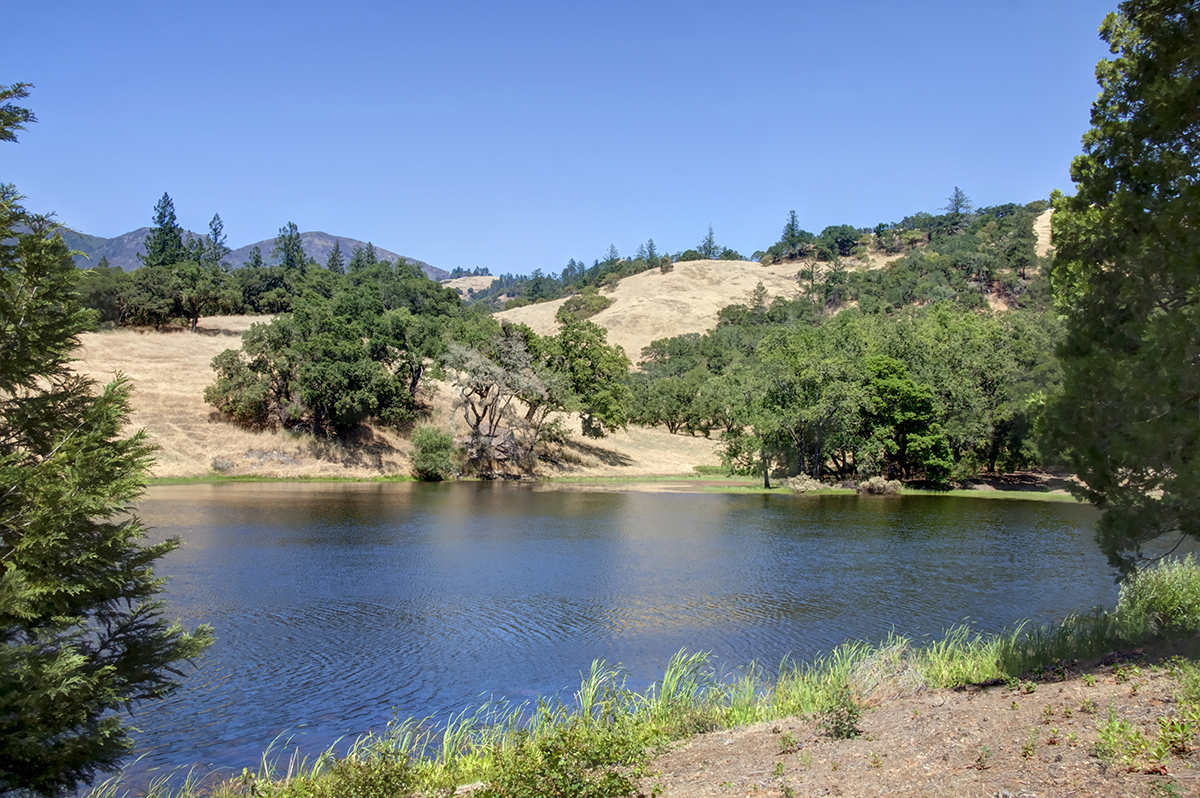 25 -_MG_9974adjust - KnightsValleyRanch