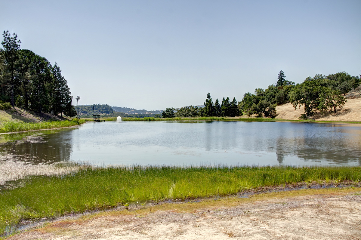 26- _MG_0060adjust - KnightsValleyRanch