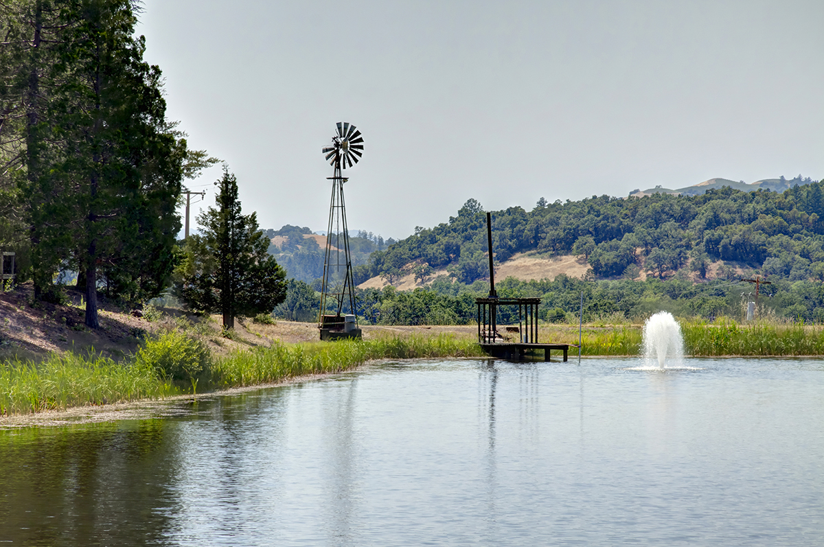 27 - _MG_0055adjust - KnightsValleyRanch