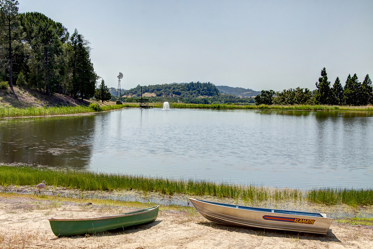 28 - _MG_0050adjust - KnightsValleyRanch