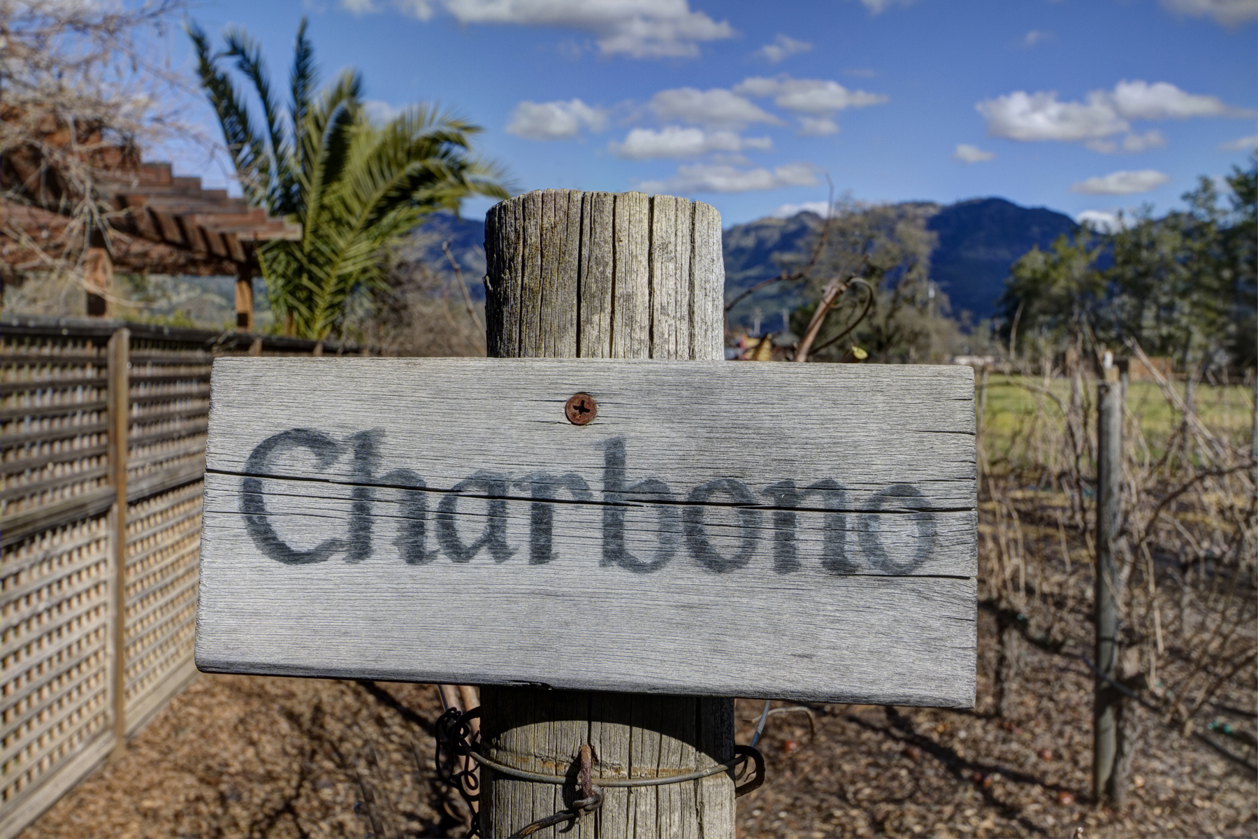 28 - _MG_0260adjust - SummersWinery