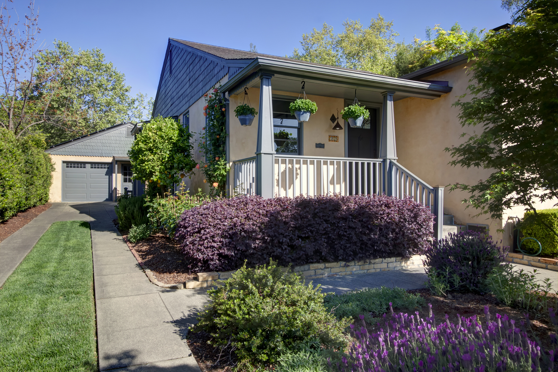 29 - 6_MG_9243adjust